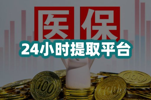24小时提取平台